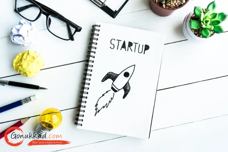 MIS Report for Startups in India
